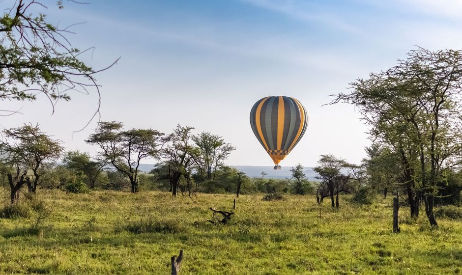 Pop the Question in South Africa